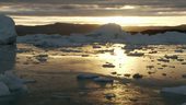 Groenland, le voyage sous la glace | Vincent Amouroux