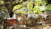 Liban : des citoyens réinventent le recyclage à Beyrouth | Léa Cremona