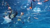 Non, les déchets plastiques ne disparaissent pas dans les océans ! | Caroline Ando